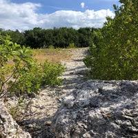 Hotely v key largo s bazénmi. Dagny Johnson Key Largo Hammock Botanical State Park State Provincial Park In Key Largo