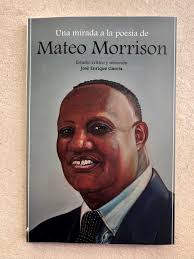 Una mirada a la poesía de Mateo Morrison : Tus Libros en Casa