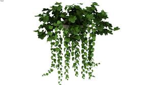 Trova una vasta selezione di piante finte pendenti a prezzi vantaggiosi su ebay. Plantas 3d Warehouse