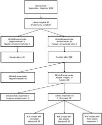 Frontiers Transmission Dynamics Of Hyper Endemic Multi