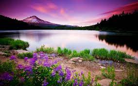 Places is love to go visit. Free Photo Beautiful Landscape Beautiful Forest Green Free Download Jooinn