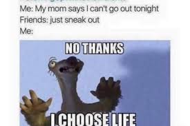 Pin On Funny Stuff