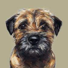 A place to share border terrier pics and chat. Pin By Leslie Stoyer On Art Therapy Ideas Border Terrier Dog Portraits Dog Art