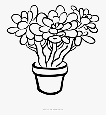 To use for a print or scrapbooking project, email etc. Succulent Houseplant Flower Coloring Page Clip Art Plant Black And White Hd Png Download Kindpng