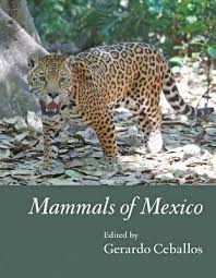 26° 31' 32.88 n longitude: Mammals Of Mexico Gerardo Ceballos 9781421408439