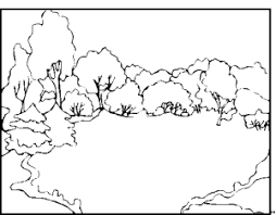 Wald Ausmalbild Malvorlage Blumen