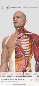 Videos covering everything you need to know to use the app. Complete Anatomy For Iphone Education Medical Apps Ios Iphone Top Iphone Ios Apps