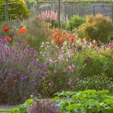 B Brooks Garden Design Surrey Garden Design Cottage Garden Plant Design