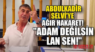 Yarım saat kadar önce cnn turk'teki ankara kulisi programında tanıdım kendisini. Sedat Peker Den Abdulkadir Selvi Ye Adam Degilsin Lan Sen