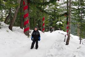 If You'Re Planning On Driving The Sea To Sky, Be Sure To Have Good Winter  Tires. : R/Vancouver