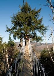 Bretton Woods Zip Lining Canopy Tour Washington Resorts Bretton Woods Ziplining