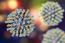 Image result for Measles