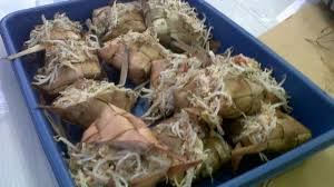 Untuk digunakan gratis ✓ tidak ada atribut yang di perlukan ✓. 8 Kuliner Ngeres Indonesia Yang Ternyata Rasanya Lezat