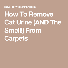 How To Remove Cat Urine And The Smell From Carpets Cat Urine Remover Urinal Cat Urine