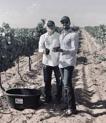 We did not find results for: Texas Wine And Grape Harvest Season 2019 Reddy Vineyards