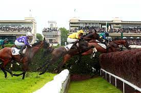 You will be treated like royalty as an owner in the sport of kings. Flat And Jump Racing France Galop
