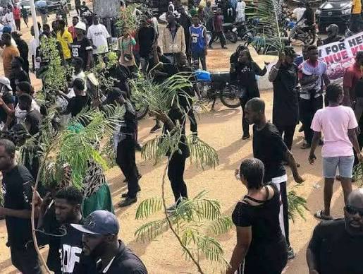   80--,         Benue Police have arrested an 80-year-old and six others in connection with the killing of the state MACBAN chairman ...