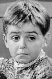 George Bejan — The Movie Database (TMDB)