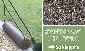 Es darf nicht frieren, aber es muss auch genügend feuchtigkeit gewährleistet sein. Rasen Saen Ohne Walze So Gelingt Es Trotzdem Gartenlexikon De