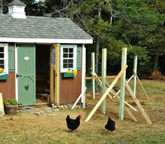 Chickens 101, kids' corner tags : How To Build A Predator Proof Chicken Run The Old Farmer S Almanac