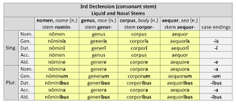 3rd Declension Liquid And Nasal Stems N Dickinson