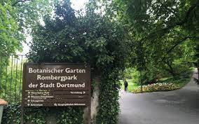 Botanische besonderheiten und pflanzen aus fernen ländern. Rombergpark Soll Schoner Werden Radio 91 2