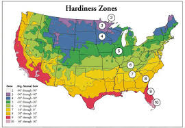 What Is Plant Hardiness Digger Odell Nursery