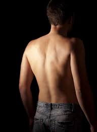 The backbone to all integration begins with our it group which consists of several very talented individuals bringing a host of skills and over 30 years of experience to the table. Spine Anatomy 101 Thoracic Spine Bonati Spine Institute