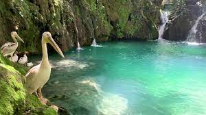 Copyright 2021 shalalat powered by 3abar. Blue Waters Marvelous Nature Shallalat El Zarka Baakline El Chouf Youtube
