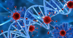 Spanish flu, also known as the great influenza epidemic or the 1918 influenza pandemic, was an exceptionally deadly global influenza pandemic caused by the h1n1 influenza a virus. Virus Ebola Penyebaran Cara Kerja Langkah Pencegahannya Popmama Com