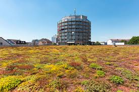 Wohnungen zur miete in erlensee. Seniorenwohnanlage Erlensee In Erlensee Auf Wohnen Im Alter De
