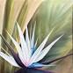 Blue Bird of Paradise Acrylic on Canvas