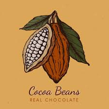 Hand drawn beans label png image. Cocoa Beans Vintage Hand Drawn Engraved Style Sketch Illustration Chocolate Cocoa Powder Bean Branch Nuts Seeds And Leaves Vector For Logo Labels Web Design Decorative Elements And More 2301213 Vector Art At