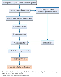 Neurogenic Shock Nursing Information Pathophysiology