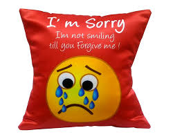 What do guys want as an apology gift? Red Cotton Sorry Gift Printed Cushion Cushion Filler Cover Rs 299 Piece Id 16720375662