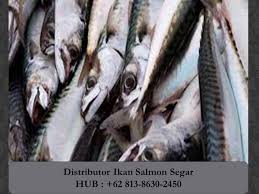 Maybe you would like to learn more about one of these? Bajabu Ikan Tanpa Kelapa Resipi Ikan Pari Bakar Tanpa Guna Arang Memang Mudah