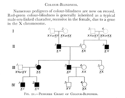 charts pedigree chart of colour wellcome collection