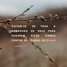 Efésios 6:10-12 Quanto ao mais, sede fortalecidos no Senhor e na força do  seu poder. Revesti-vos de toda a armadura de Deus, para poderdes ficar  firmes contra as ciladas do diabo; porque