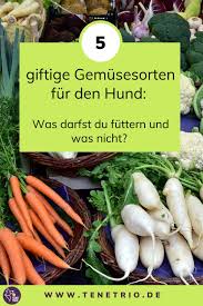Giftige Gemusesorten Fur Deinen Hund Was Darfst Du Futtern Und Was Nicht In 2020 Hunde Ernahrung Hundeernahrung Hundenahrung