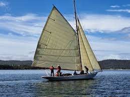 Image result for Copper Chestnut 2012 Cygnet