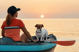 Kayaking with your dog is great because it's really fairly simple. Best Inflatable Kayak For Dogs Our Top 7 Picks Boating Geeks