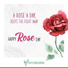 61+ romantic happy rose day 2021 quotes, wishes, messages with rose day images. Happy Rose Day Quotes Wishes N Greetings Rose Day 2021 Ferns N Petals