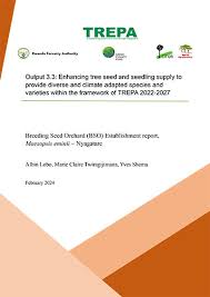 Image result for Pterygota mildbraedii