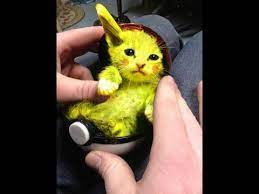 Best Magic Tricks Zach King Magic 2017 Merry Christmas Youtube Funny Cat Compilation Pikachu Cool Magic Tricks