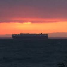 Beth Paolucci (@bbpooch)