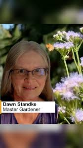 Come to the Fall Plant Sale 2025 to get your very own Gregg’s mistflower!  This short video from UC Master Gardeners Dawn Standke and Kim Bixel  explain why this fabulous plant is great for your garden. ...