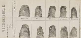 The History Of Fingerprints Fingerprint Advanced Typography History