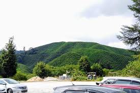 Saravanan announced on saturday that the national security council was allowing floriculturists to operate after learning that. Spacetraveller Activity Cameron Highland Private Day