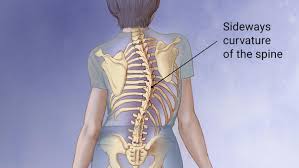 We did not find results for: Sayidahnapisahdotcom