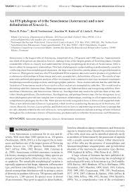 Image result for Senecio milanjianus